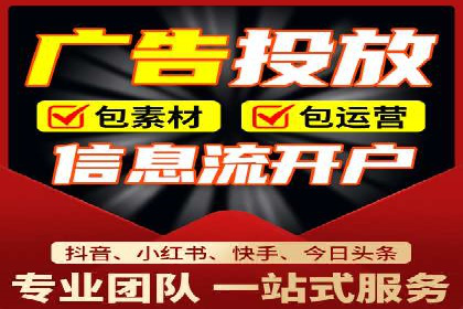 某知名企业SEM营销全案解析